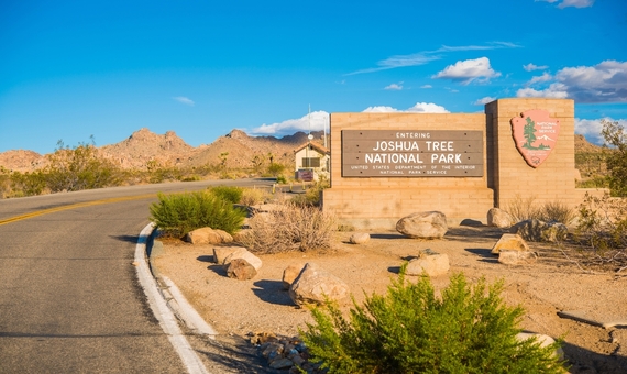 約書亞樹國家公園Joshua Tree National Park